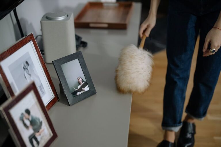 accumulated indoor dust and odors